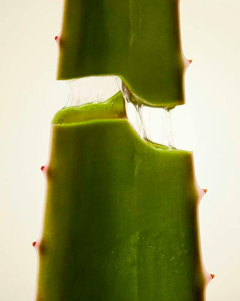 Fresh aloe vera dripping, water resistant SPF 45 sunscreen ingredient