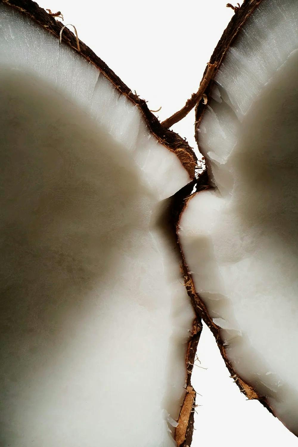 Halved coconut, a nourishing ingredient in fragrance-free SPF 45 sunscreen