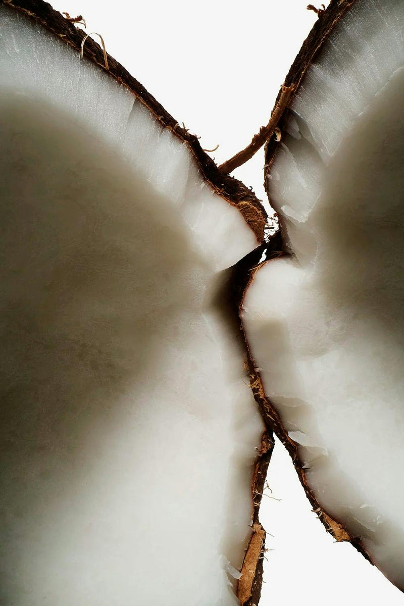 Halved coconut, a nourishing ingredient in fragrance-free SPF 45 sunscreen