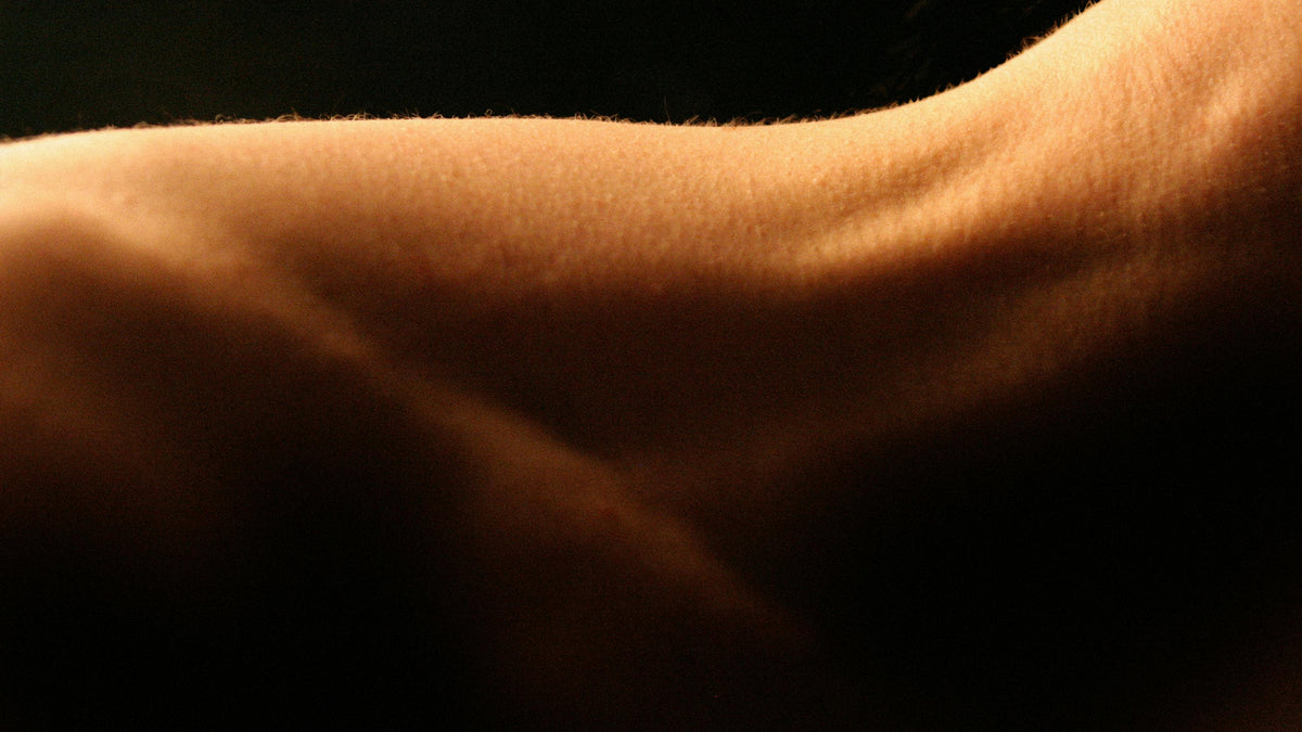 The art of care, late summer light